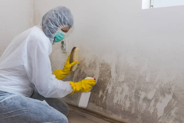 Best Asbestos and Lead Testing During Mold Inspection  in Rodney Village, DE